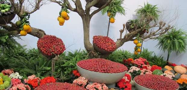 Em setembro acontece a 39ª edição da Festa de Flores e ...