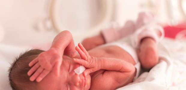 Novembro Roxo é o mês de prevenção à prematuridade de bebês