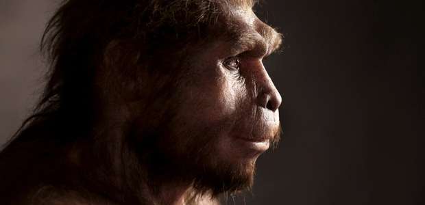 A surpreendente descoberta de que o 'Homo sapiens' ...