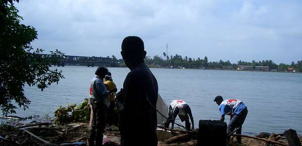 População recupera corais marinhos destruídos por ...