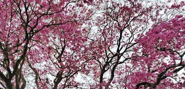 Madrugadas seguem frias em SP