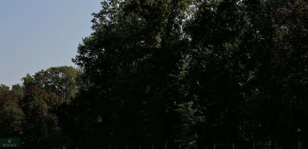 Bottas liderou primeiro treino para o GP da Itália; ...