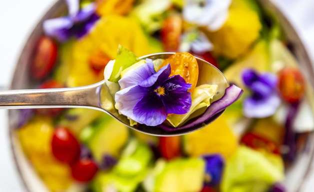 As 10 melhores flores comestíveis para adicionar na sua dieta