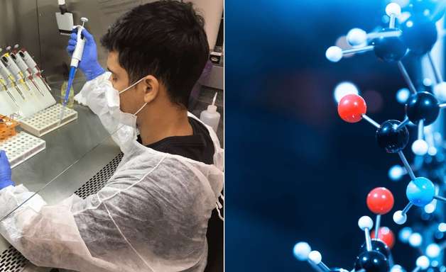 Molécula que pode combater o câncer é descoberta por cientistas brasileiros