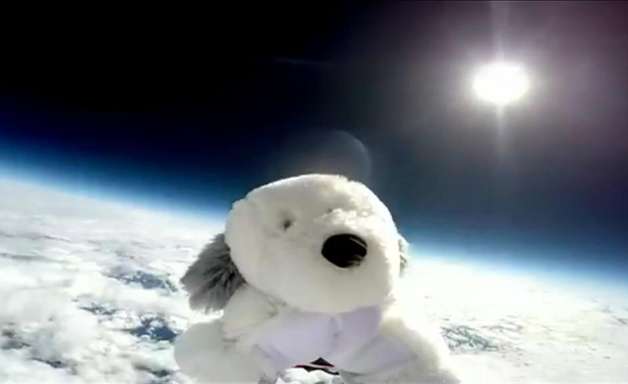 Cachorro de pelúcia voa até a estratosfera em projeto escolar