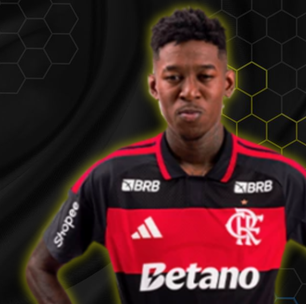 Vitão isenta defesa do Flamengo no gol do Botafogo e comemora a classificação