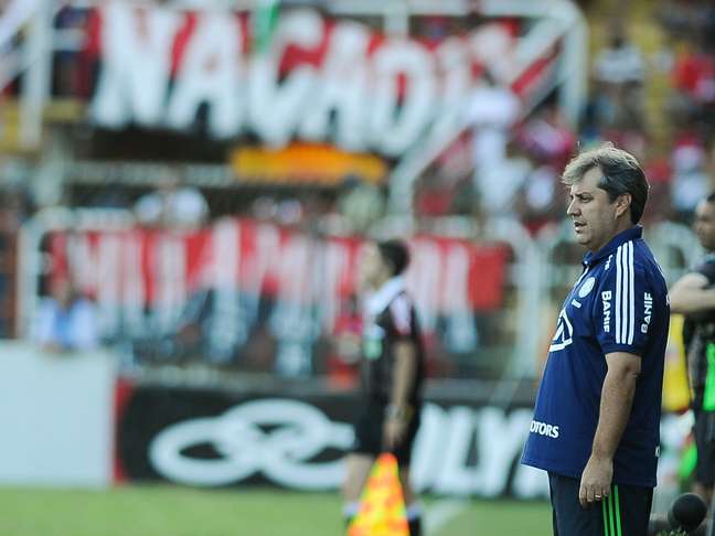 Gilson Kleina quer reforços "pontuais" para trabalhar no Palmeiras em 2013