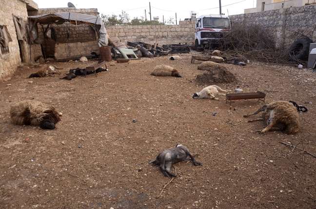 Animais que moradores dizem ter sido mortos por armas químicas em Khan al-Assal, ao norte de Aleppo