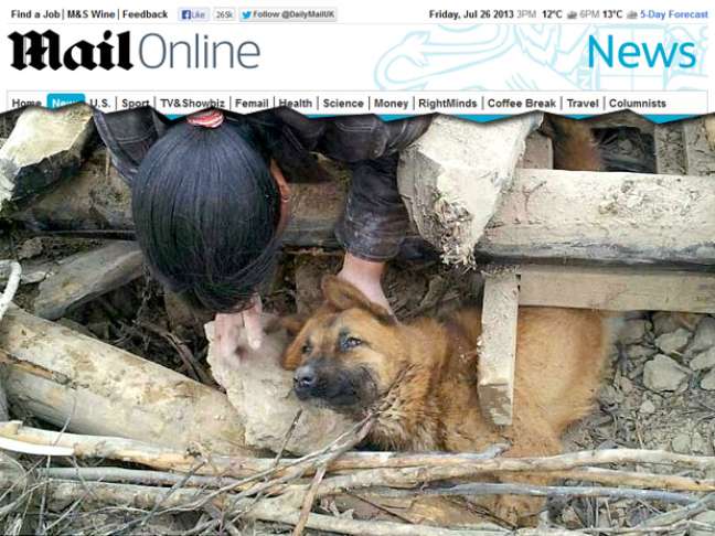 Imagem mostra o momento em que o cão é resgatado dos escombros
