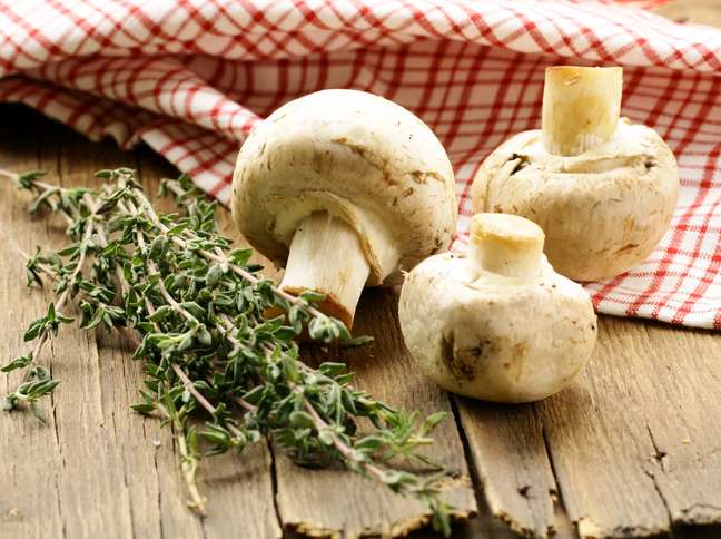 <p>Os cogumelos têm baixa quantidade de caloria e alto teor de proteínas e fibras</p>