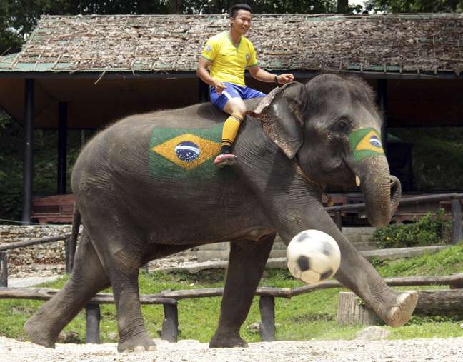 Brasil estava representado na partida feita com animais