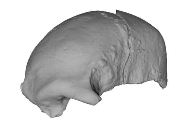 Crânio encontrado no Quênia pode revelar linhagem humana desconhecida até agora