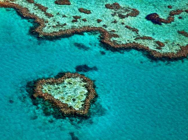 Barreira de Corais é atração em cruzeiros na Austrália e Nova Zelândia