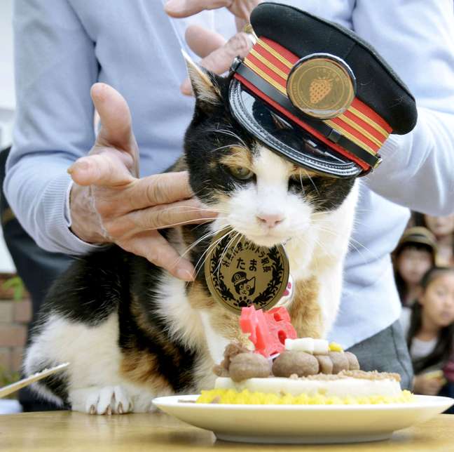 A gata Tama na estação central de trem no Japão, durante aniversário de 16 anos, em abri de 2015