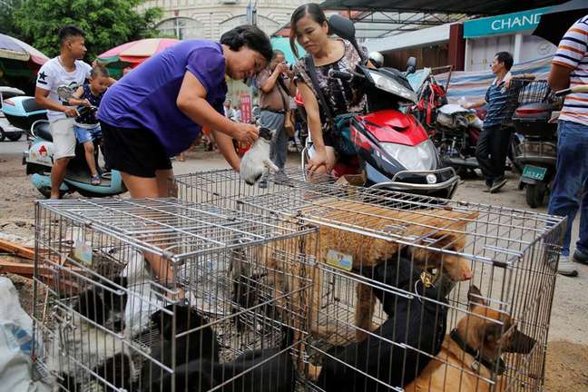 Cachorros são colocados à venda nas ruas da cidade para virarem comida no festival