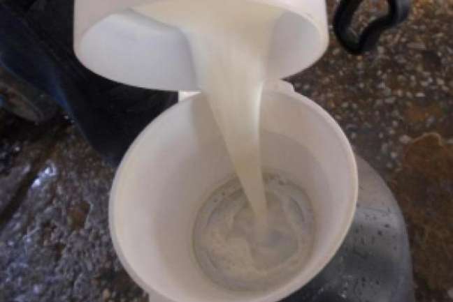 Cápsulas desenvolvidas por Maria Vitória tornam leite bom para consumo dos intolerantes à lactose