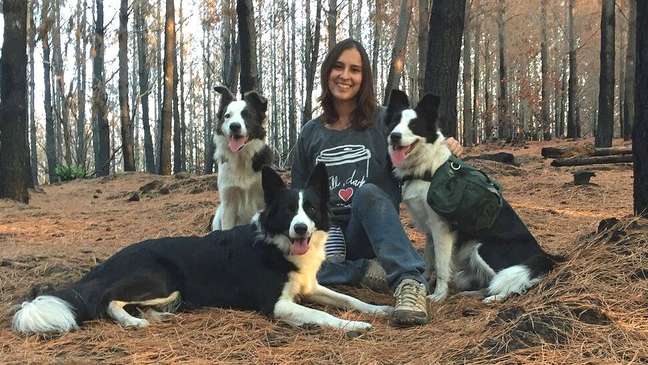 A ambientalista Francisca Torres passou a levar suas cadelas border collie para replantar a vegetação de áreas consumidas pelo fogo