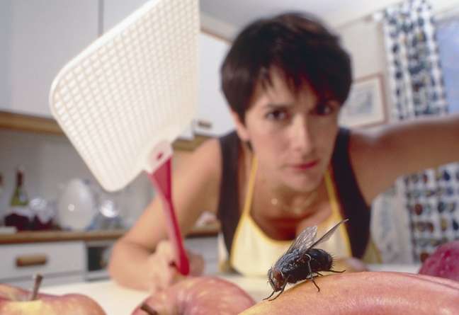 Imagem de uma mulher esmagando uma mosca