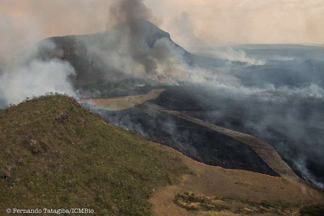Imagens aéreas mostram mancha negra causada pelo fogo na região | Foto: Fernando Tatagiba/ICMBio 