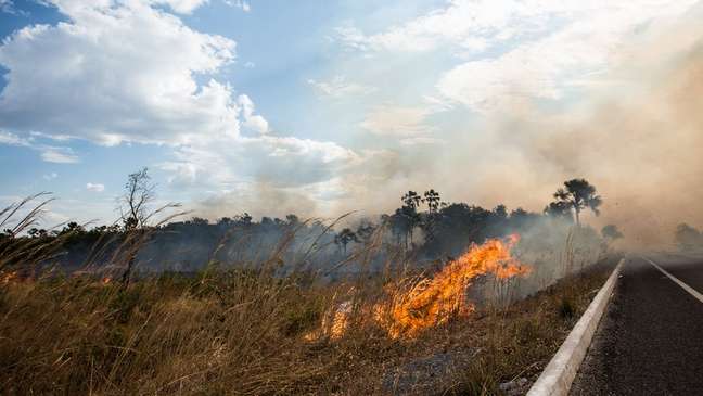Incêndio na beira de rodovia em Goiás