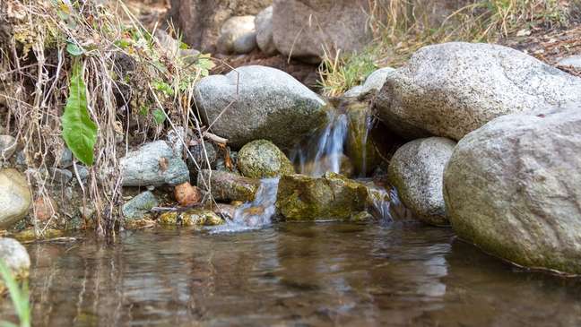 A "água crua" é retirada de fontes naturais