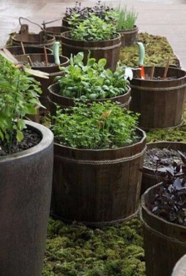 61. Outra abordagem sobre como fazer um jardim é usando recipientes para fazer uma horta. Projeto de Juliana Freitas