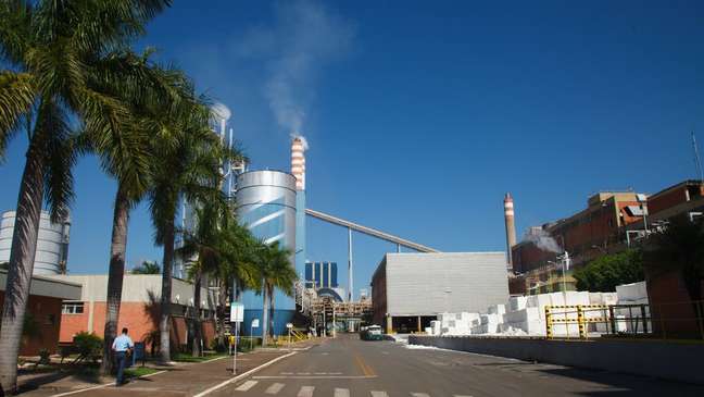 Fábrica da Suzano Papel e Celulose produz 20 mil toneladas por ano de um dos principais produtos usados na fabricação da cola sustentável