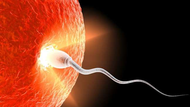 5 Curiosidades Sobre O Semen Que Voce Talvez Nao Conheca