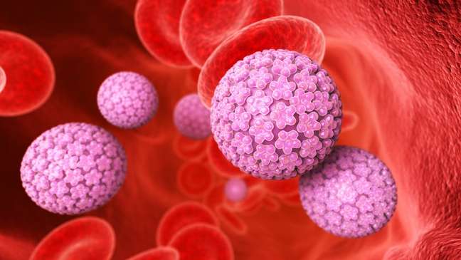 4 mitos sobre o HPV, vírus de transmissão sexual que afeta maioria das ...