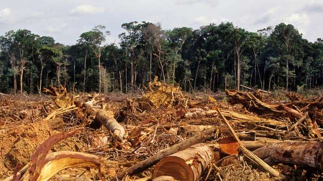 Desmatamento da Amazônia, em foto de 2007; floresta brasileira perdeu 20% de sua área desde 1970