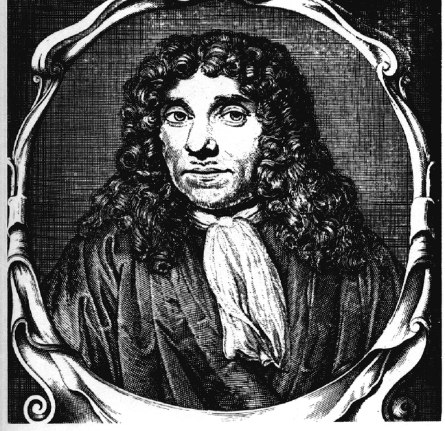 Leuwenhoek (1632-1723), o descobridor das bactérias