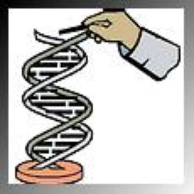 O DNA, a espiral da vida