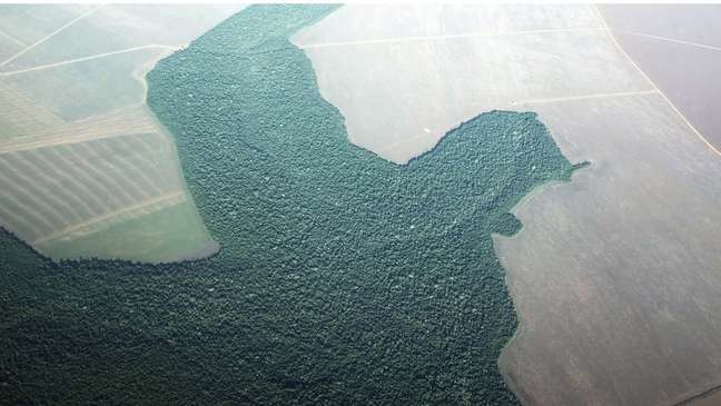 Imagem de área parcialmente desmatada na Amazônia; presidente e ministro contestaram dados de órgãos oficiais sobre devastação