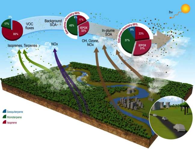 Infografia publicada na revista Nature Communications mostra os impactos das emissões em Manaus na atmosfera amazônica