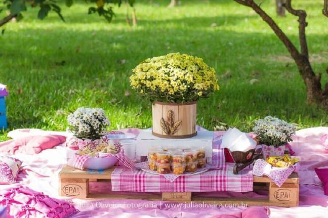 9. Saiba como montar um picnic e tenha um evento inesquecível – Foto: Mamãe Felicidades e Dicas