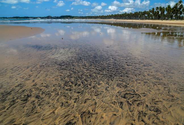 Mancha de óleo na praia do Paiva, em Pernambuco
27/09/2019
REUTERS/Diego Nigro