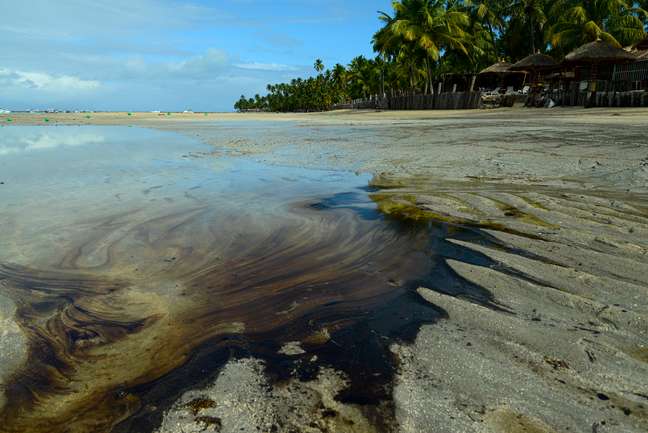 Mancha de óleo atinge Praia dos Carneiros, em Pernambuco
18/10/2019
REUTERS/Teresa Maia