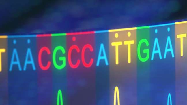 Nosso código genético é representado pelas letras A, C, G e T