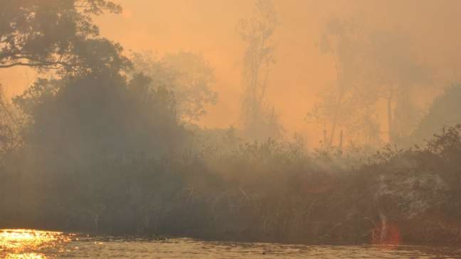 Entre os dias 1º de agosto e 31 de outubro, o número de focos de queimadas no Pantanal cresceu 506% na comparação com o mesmo período do ano passado.