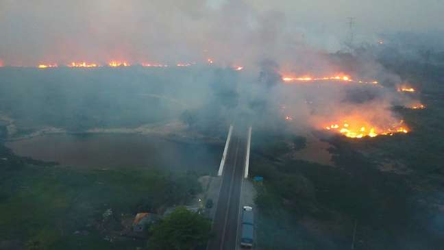 Os dados do Instituto Nacional de Pesquisas Espaciais (Inpe) mostram que, em números absolutos, os incêndios em todo o bioma Pantanal saltaram de 1.147 entre agosto e outubro de 2018 para 6.958