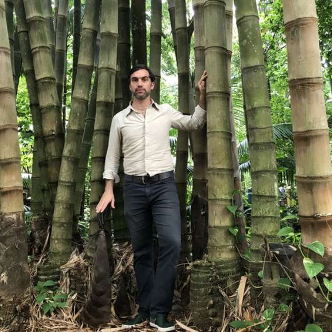 Pesquisador começou a estudar os microcanais dos bambus há 10 anos durante pós doutorado na China