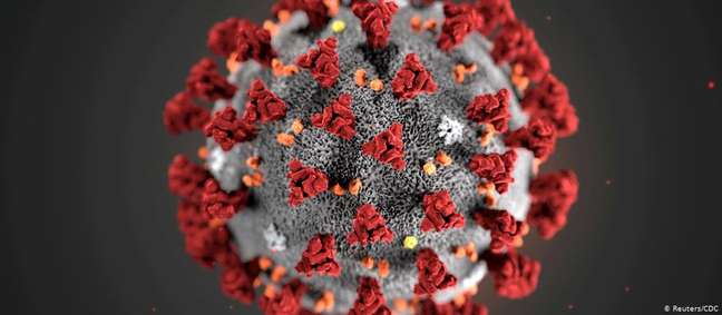 Coronavírus: "Sequenciamentos genéticos ajudam no processo de desenvolvimento de uma vacina", diz médica