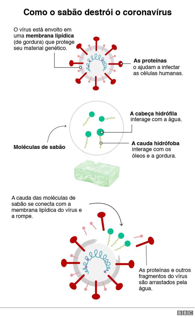 Representação gráfica de como o sabão destrói o coronavírus.