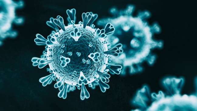 Especialistas afirmam que é necessário buscar muitos anticorpos que possam ser candidatos a combater o novo coronavírus