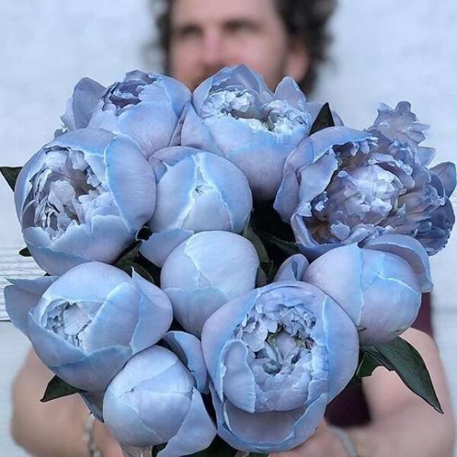 4. É difícil não se apaixonar pela Peônia azul. Fonte: Pinterest