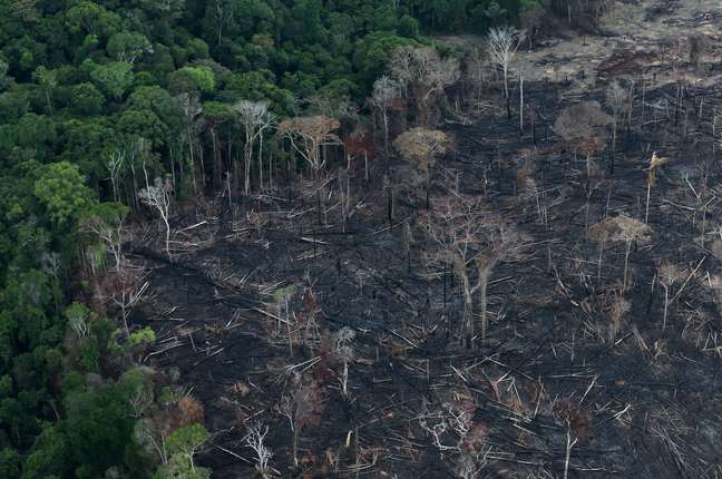 Vista aérea de área desmatada da Floresta Amazônica em Itaituba, no Pará
26/09/2019 REUTERS/Ricardo Moraes