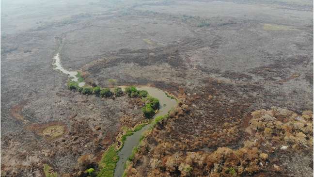 Imagem que mostra devastação em Pantanal teve mais de 160 mil reações no Facebook nos últimos dias