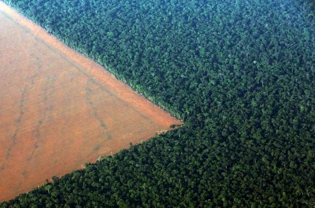 Fronteira entre a floresta amazônica e áreas agrícolas em Mato Grosso 
04/10/2015
REUTERS/Paulo Whitaker
