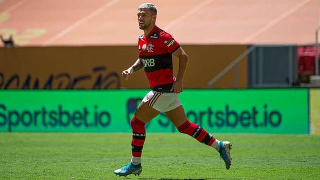 meiao flamengo moss