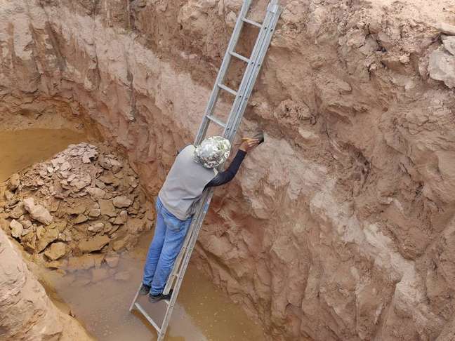 O biólogo Leonardo Paschoa escava fragmentos de fósseis de dinossauros achados durante obra em rodovia, no interior de São Paulo
